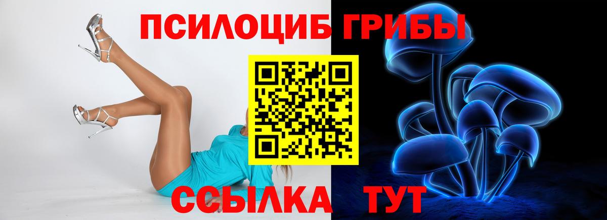 купить закладку  Псилоцибиновые грибы Magic Shrooms  Галлюциногенные грибы мицелий  Вход с VPN  Переславль-Залесский 
